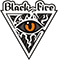 Товары бренда «Black Fire»